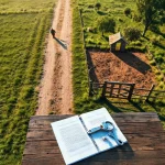 Фото по теме: что такое сервитут на земельный участок